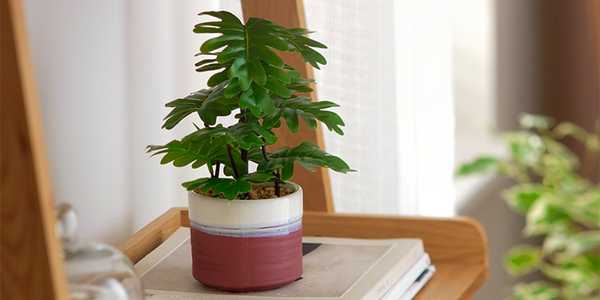 Faux floral plant in a terracotta ceramic pot.